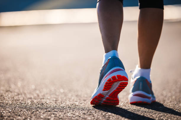 충청도달리기 정보 확인 방법과 이용 흐름