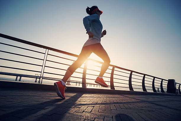 안전한 정보 이용을 위한 기본 확인 기준