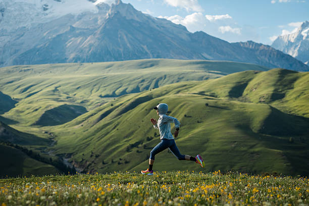 충청도달리기 정보 구성과 운영 기준